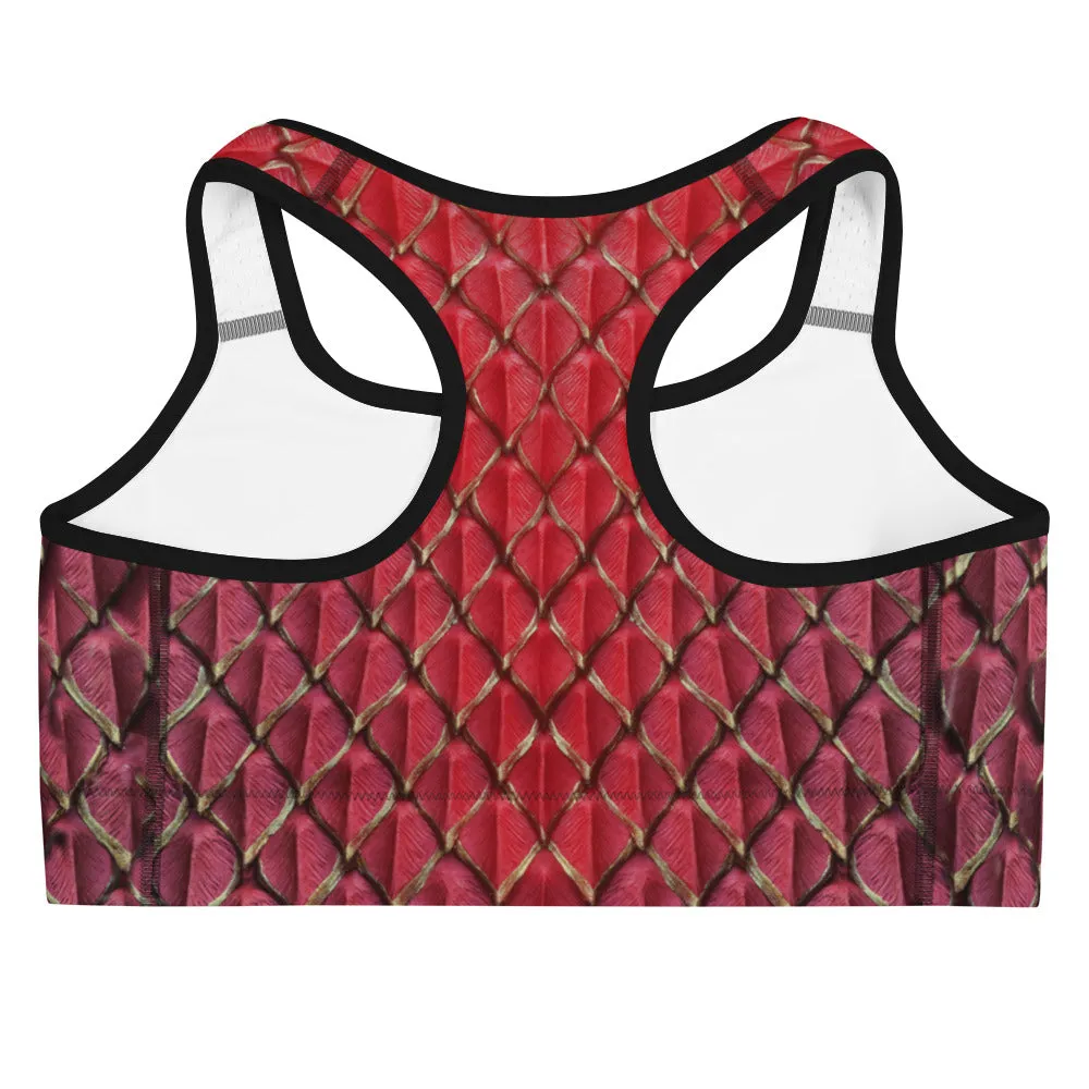 Dragonheart Sports Bra