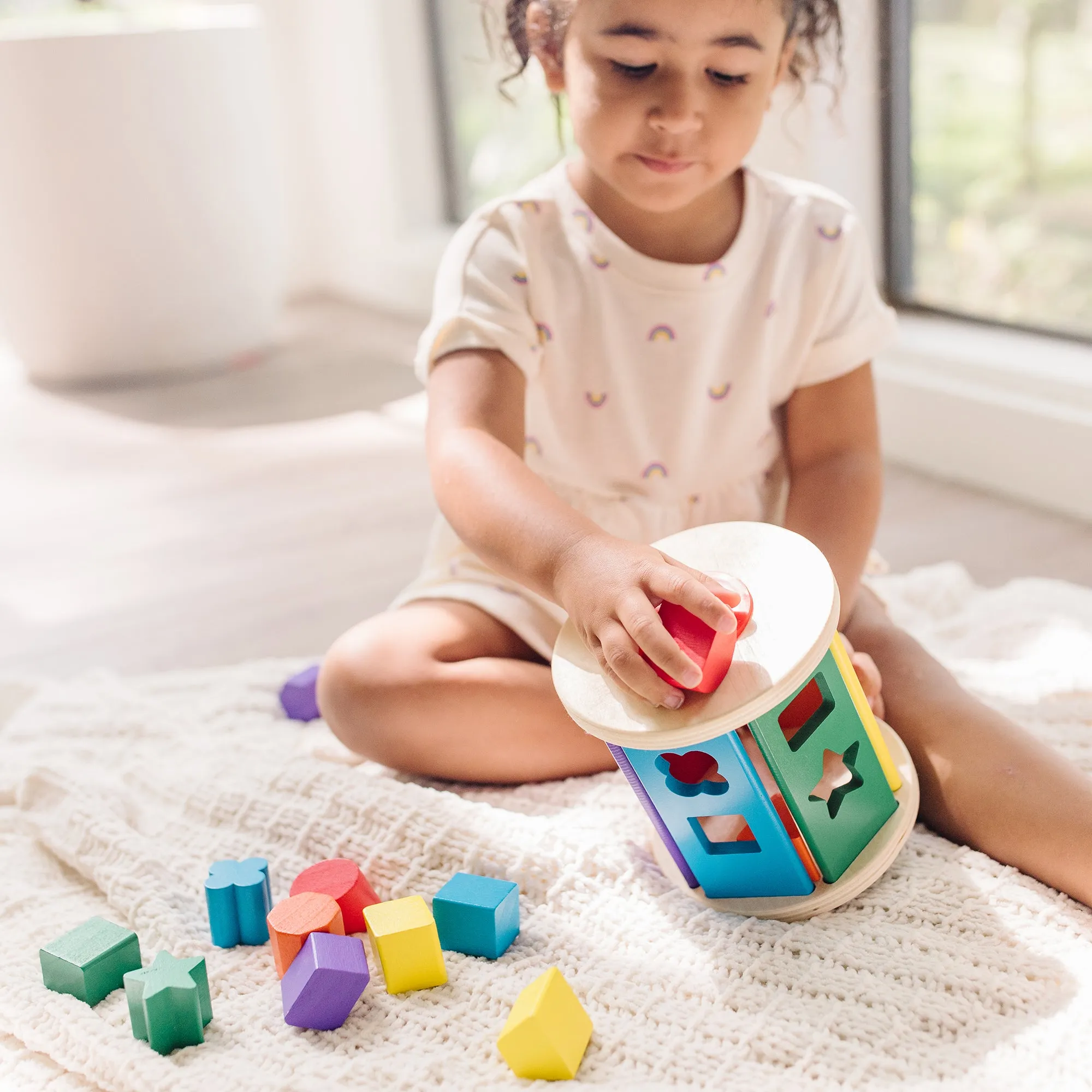 Match and Roll Shape Sorter